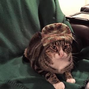 Meet your Posher, Joy